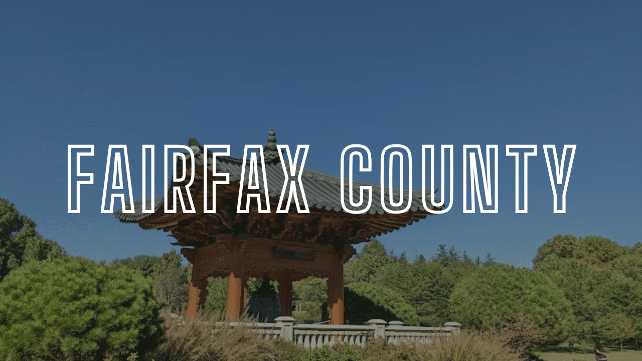 Portrait Painter San Anselmo