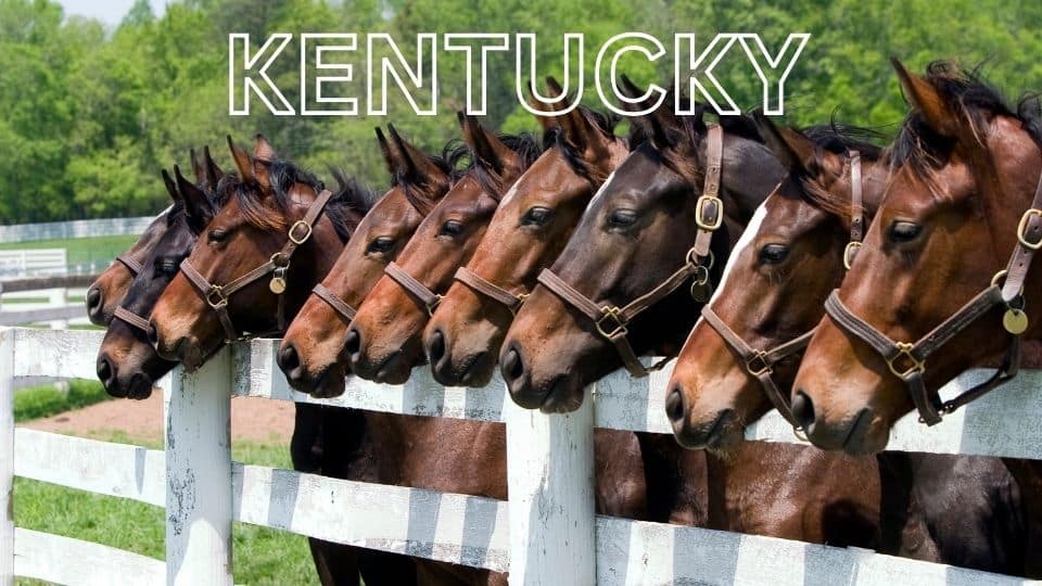 Portrait Artist Kentucky