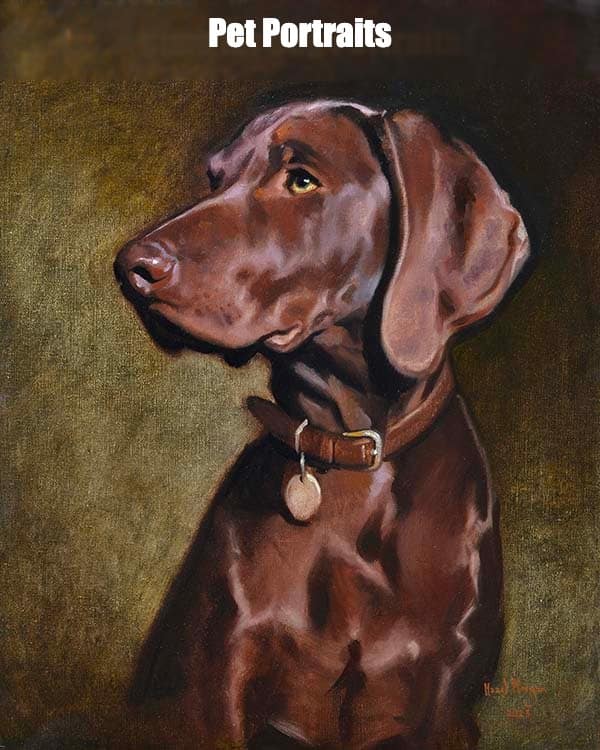 Pet Portraits