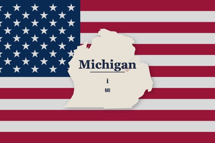 Portrait Artist Michigan