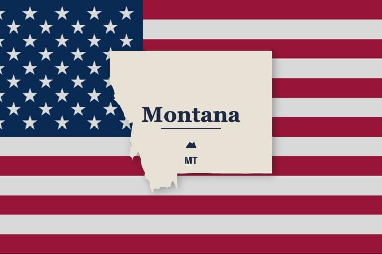 Portrait Artist Montana